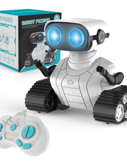 Dake Remote Control Robot Toy